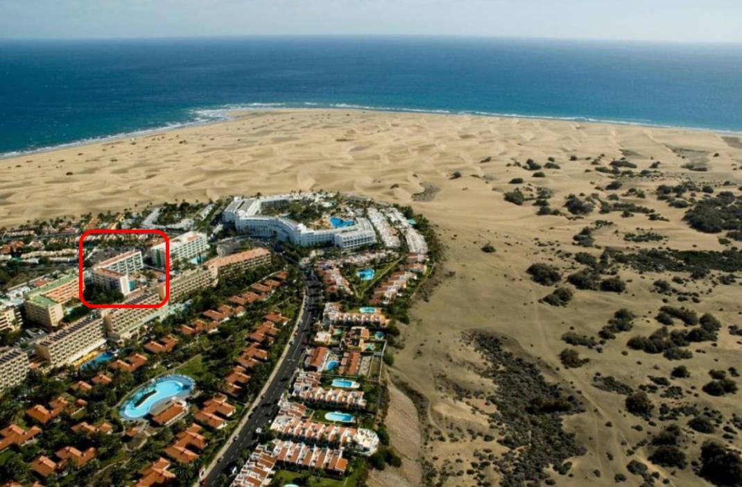 Apartment Palm Trees View Of The Dunes Playa del Inglés Zewnętrze zdjęcie